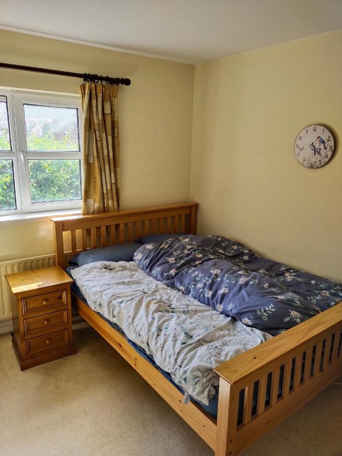 Crescent Apartments Homestay Cork Buitenkant foto