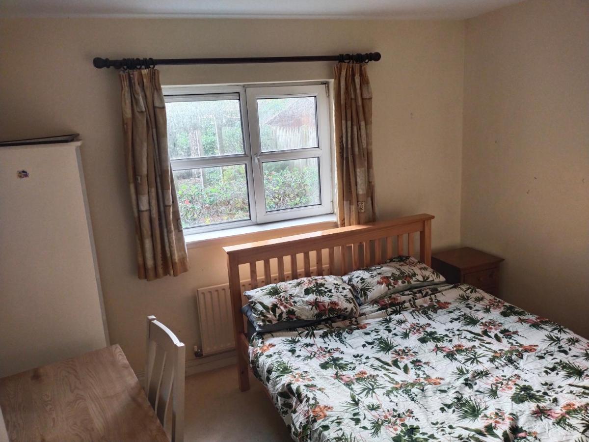 Crescent Apartments Homestay Cork Buitenkant foto